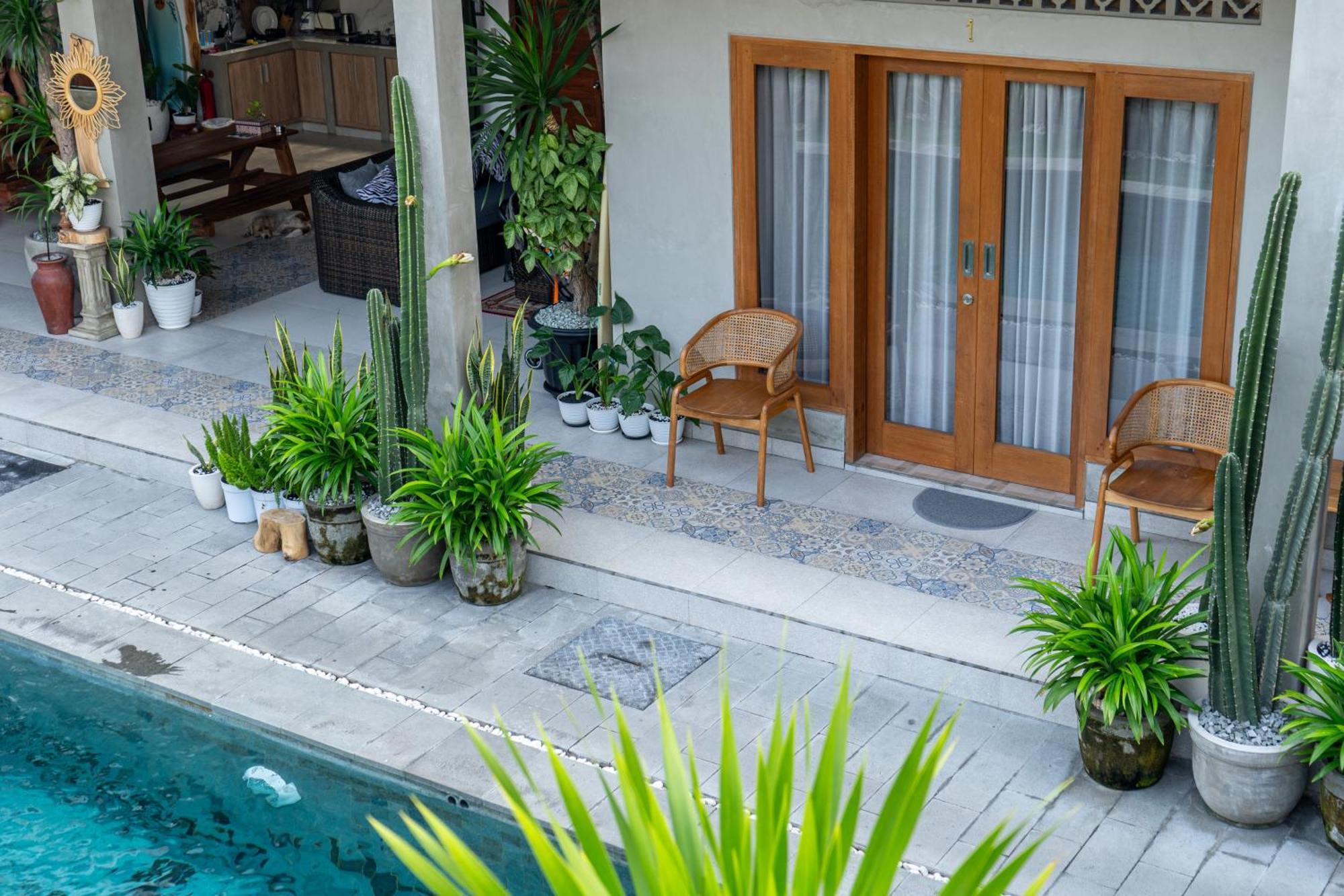 The Breeze Stay And Surf Canggu Exteriér fotografie